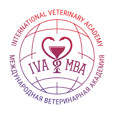 Купить диплом МВА Купить диплом МВА